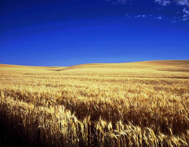 Niezapomniane rzeczy do zrobienia w Kansas