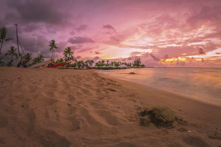 Przygód rzeczy do zrobienia na Big Island of Hawaii